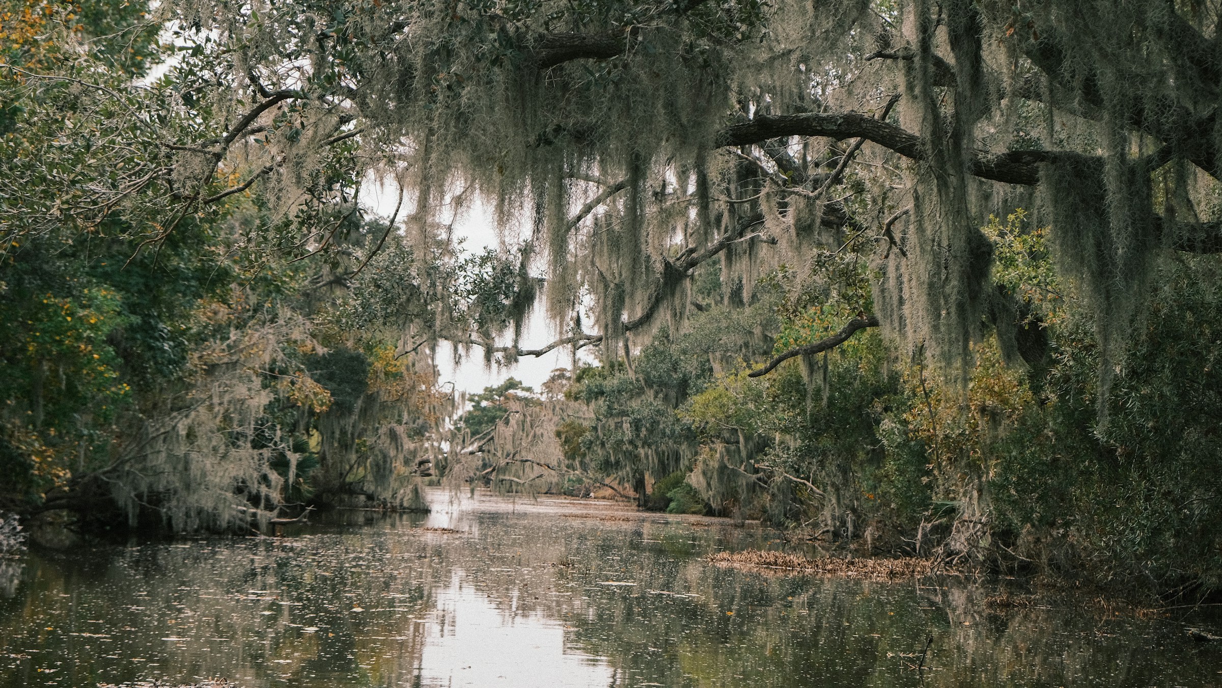 Calm Louisiana river winding through moss-draped trees